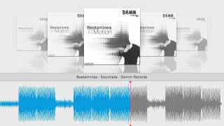 Beatamines - Soulmate - Damm Records