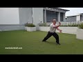 chee kim thong five ancestors fist tiger fist 徐金栋五祖拳：虎拳）