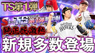 今年のTSは期待大！？1弾からイキなり査定年度変更・新規多数登場。今までとは違う新たな風が吹くかもしれません