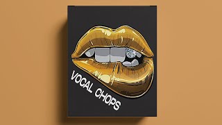 [FREE] VOCAL CHOPS SAMPLE PACK (+50 Royalty Free) vocal samples | vol:19