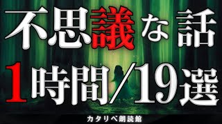 【雨音朗読】不思議な話1時間つめ合わせ、全19話(狐の嫁、ほか)