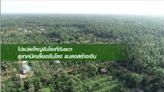 สารคดีการเกษตร  ปี 2562 / EP. 3