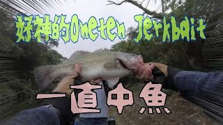 好神的 Oneten Jerkbait 一直中魚  柯子湖快閃