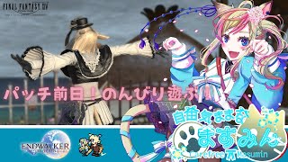 【FF14】パッチ前日！のんびり遊んでいく！【女性実況】