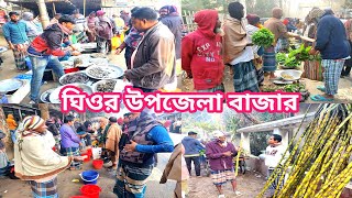 ঘিওর উপজেলা চমৎকার সকালের বাজার। Ghior Morning Bazar@Manikganjprotidin