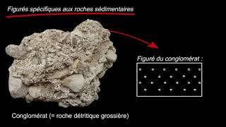 Geological patterns - For sections and stratigraphic logs (by Mrs Ruault-Djerrab)