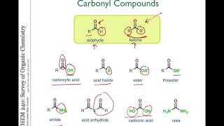 42 Aldehydes and Ketones