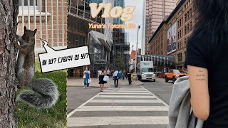 [🇨🇦유나Vlog]어학원 첫 주 | 토론토에서 첫 일주일 | 한인타운 방문하기🇰🇷