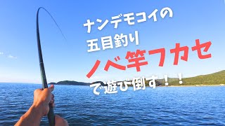 ノベ竿フカセで色々釣って遊んでみるよ