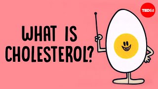 What actually causes high cholesterol? - Hei Man Chan