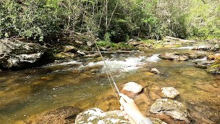 Backpackers mocked me for fishing here...they didn't know about the amazing wild trout!