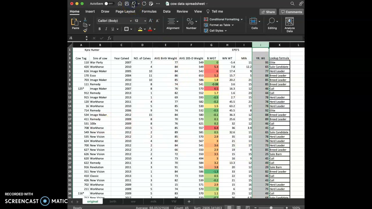 Conditional Formatting - YouTube