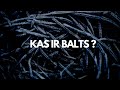 iraari kas ir balts pied. jānis krūmiņš prod. aksel axness