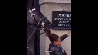 The difference in horse behavior❤️|تفاوت رفتار اسب❤️#animals #horse #cavalo #ghoda #love #حصان #اسب