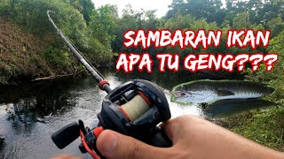 Sambaran Haruan | SOLO FISHING SNAKEHEAD FISH in a quiet creek