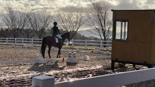 第57回全日本学生馬術選手権大会　準決勝　３年　吉田ことみ　清詠