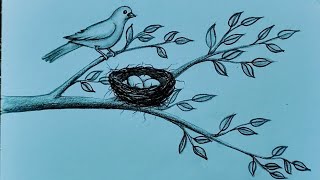 How to draw easy bird nest/bird nest drawing with pencil