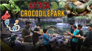 முதலை பண்ணை crocodile Park ECR #music #comedy #youtubeshorts #funny #funbee #millionviews #puvi#