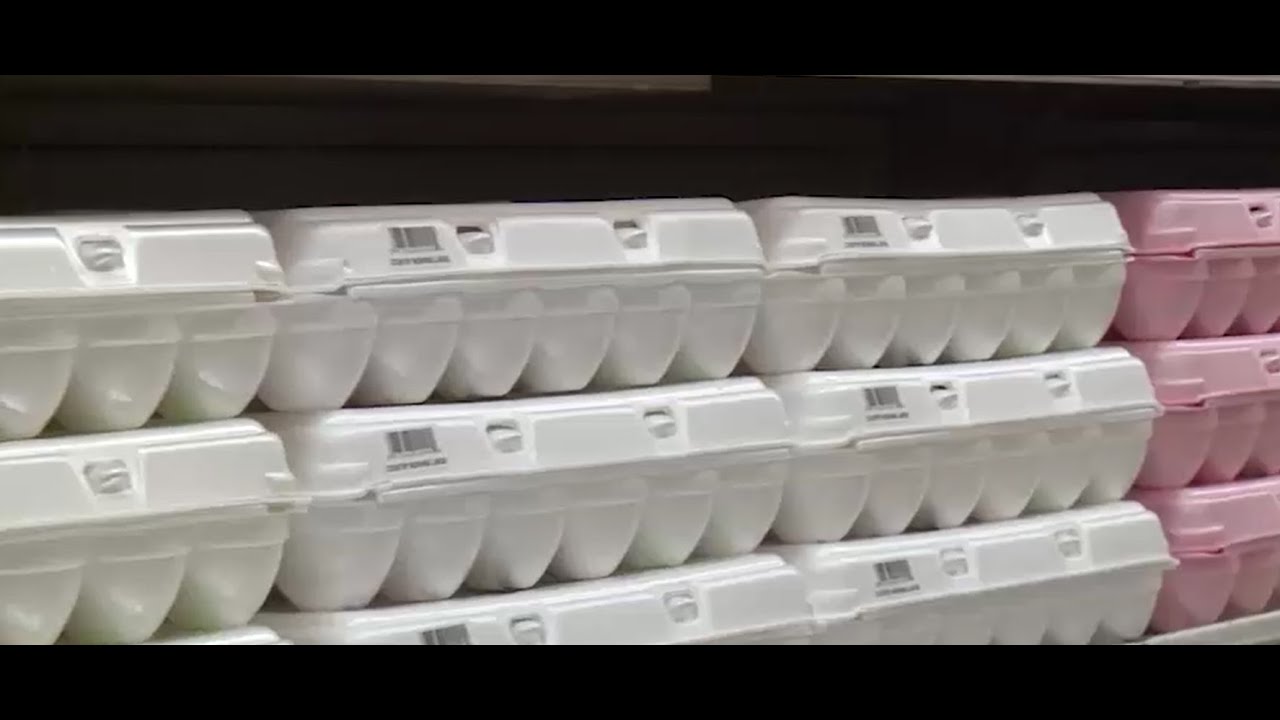 FTGU#1243 Egg Supply And Avian Influenza - YouTube