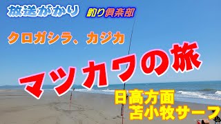 【北海道】　胆振方面　サーフ　苫小牧サーフ　マツカワの旅  クロガシラ　カジカ