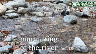 River Sounds , about 150 min. in Nishitanzawa Ootaki Camp Site No.1 -西丹沢 大滝キャンプ場-【癒し・作業BGM・睡眠用・ASMR】