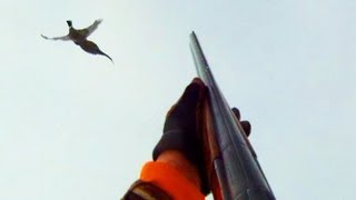 Pheasant Hunting S. Dakota