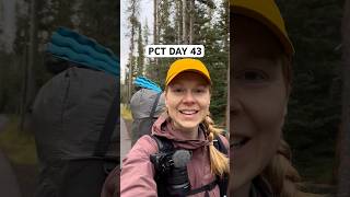 DAY 43 on the Pacific Crest Trail #pct #pacificcresttrail #thruhiking #thruhike