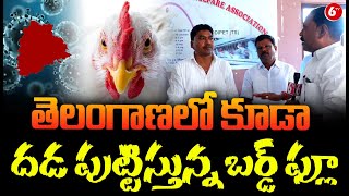 తెలంగాణలో కూడా దడ పుట్టిస్తున్న బర్డ్ ఫ్లూ | Bird Flu Impact On Egg Sales | TG News | 6TV