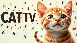 CAT GAMES | Keep Your Cat Happy and Healthy with Fun Episode 30 | 3HOURS 🐝🐞🦋🦎🦜