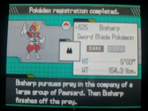 How to Catch Bisharp - Pokemon Black and White How to Catch Bisharp - Pokemon Black and White