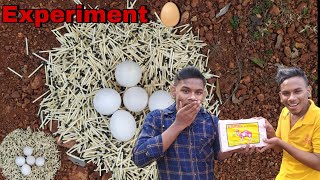 Experiment : 3500 Match Sticks VS Eggs🥚Challenge // Amazing match sticks experiment💯 EXPERIMENT ICON