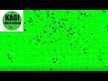 Ultimate Free Music Notes 3D Animation Ever Green Screen Free To Use