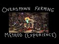 Best method to farm experience (overspawn caves) - Sacred Gold