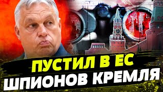 ЖЕСТЬ! ОТКРЫЛ ДВЕРИ для россиян! Орбан ШОКИРОВАЛ ВСЕХ! Что предпримут в ЕС?