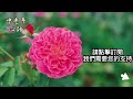 人老了才明白：最牛心態是——不入局，早知道早受益！【中老年心語】 養老 幸福 人生 晚年幸福 深夜 讀書 養生 佛 為人處世 哲理