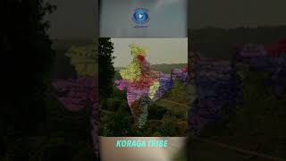 Koraga Tribe | Tribes of India #reels