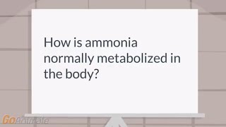 How is ammonia metabolized?