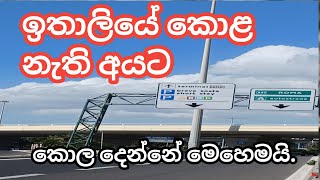 ඉතාලියේ කොලේ හදාගන්න මේ දේවල් කරන්න.