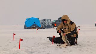 ТАКАЯ РЫБАЛКА БЫВАЕТ РАЗ В ГОД! ТРОФЕИ НЕ ЛЕЗУТ В ЛУНКИ! ЖЕРЛИЦЫ ТРЕЩАТ! Рыбалка в КАЗАХСТАНЕ