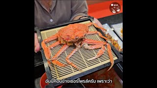 บุฟเฟ่ต์ 500 มีทอน กุ้งมังกร ปูหิมะไม่อั้น ปิ้งย่างชาบูปิดตี1