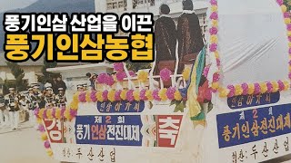 일제에 맞서 풍기인삼을 지킨 풍기인