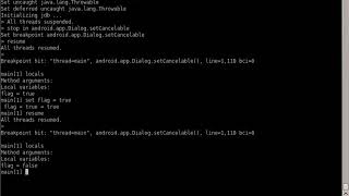 How to use java debugger to steal juicy data in an android application
