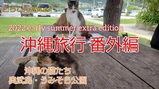 #68 【2022年6月 沖縄Vlog】1泊2日 2022梅雨の晴れ間 初夏の沖縄旅 番外編 沖縄の猫たち　Gopro HERO10