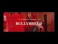 Stackz Tha Rapper - BULLYBREED (Official Music Video) Shot By @JohnnyJayVisuals