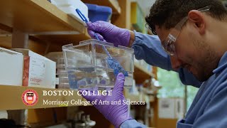 Graduate Biology Department | Boston College