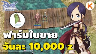 ฟาร์มใบไม้ขาย อันละ 10,000 z ฟาร์มง่าย รวยไว | RO Classic Ep395