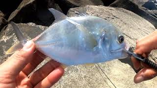 Mancing Casting Di Pinggir Laut Strike Baby GT| Mancing Di Pantai Tanjung Lipat Kota Kinabalu