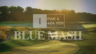 Blue Mash - Hole 1