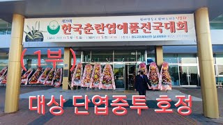 Korean countryside scenery ,( 1부 ) 2022년 11월 6일 한국춘란 엽예품 전국대회 즐감하세요.