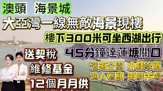 大亞灣有一線無敵海景現樓【澳頭-海景城】送契稅 維修基金 12個月月供！{164-116平3~5房}落樓300米可坐西湖出行 45分鐘直達蓮塘關口！樓下濱海公園 小桂綠道 漁人碼頭 海鮮市場#澳頭